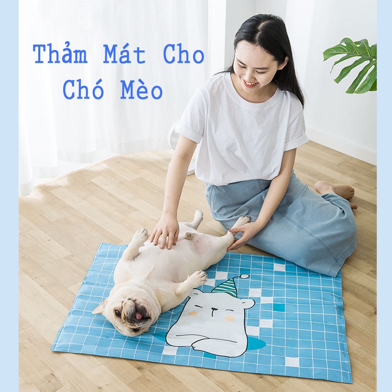 Thảm nằm mát cho chó mèo - Thảm gel làm mát cho thú cưng nhiều mẫu,nhiều size YEUPET