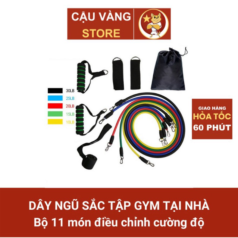 Dây tập gym ngũ sắc cao su kháng lực kéo co giãn đàn hồi tập gym nam nữ, dụng cụ dây thừng thun đa năng tập thể hình