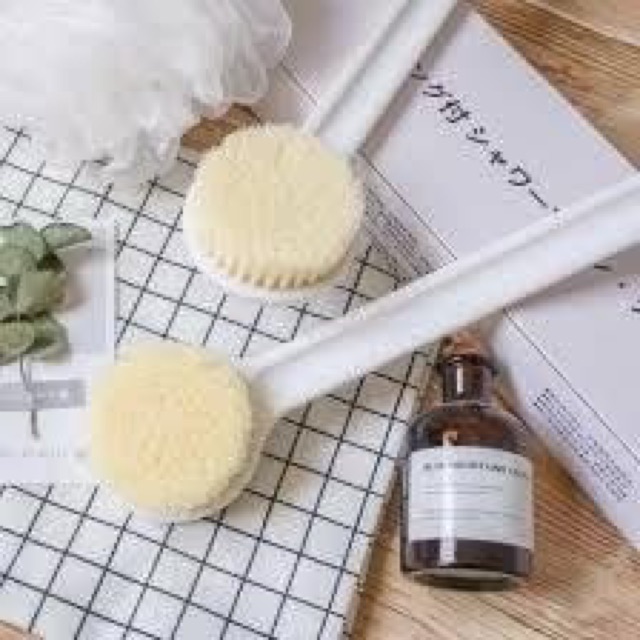 Cây cọ lưng tắm Muji