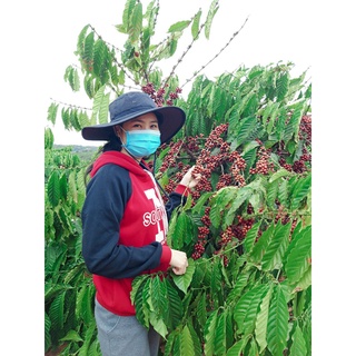 Cà phê nguyên chất robusta rang xay mộc chuẩn vị 500gr