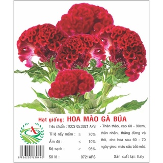 Hạt giống hoa Mào Gà Búa