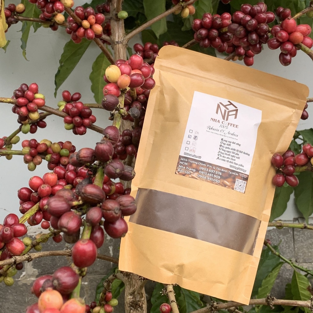 Cà phê,Nhã cafe rang xay nguyên chất BẢO LỘC ROBUSTA -ARABICA gói 0,5kg,1kg