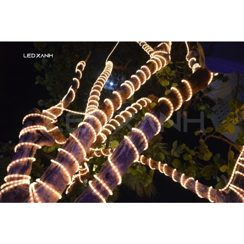 Đèn led dây quấn cây trang trí ngoài trời 220v, dây đèn led hắt trần thạch cao trang trí kín nước