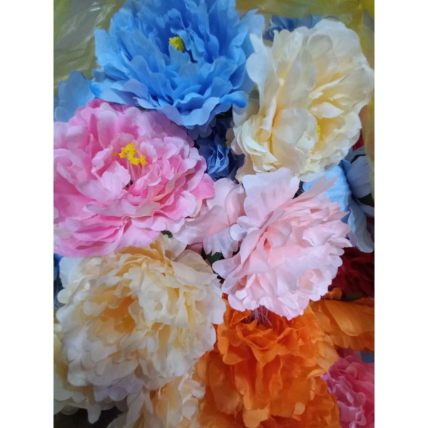 Set 5 bông hoa mẫu đơn