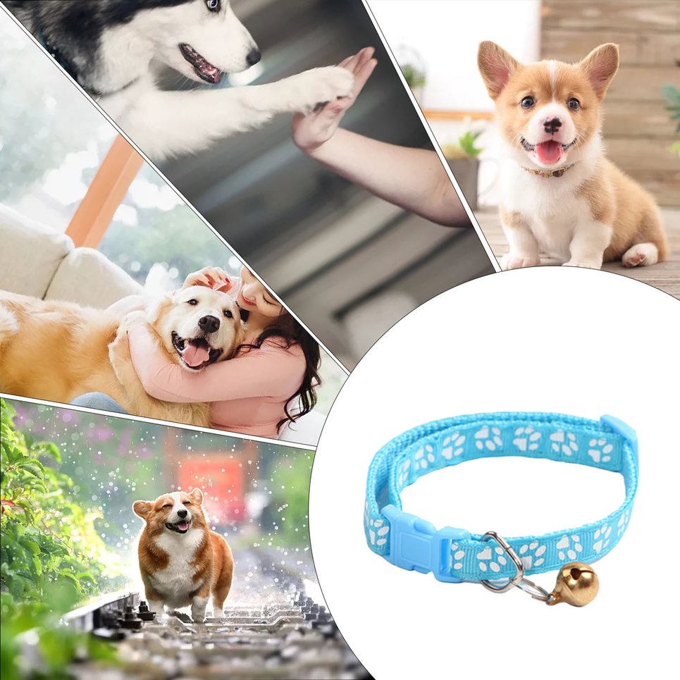 Vòng cổ thú cưng bằng sợi tổng hợp màu sắc thời trang