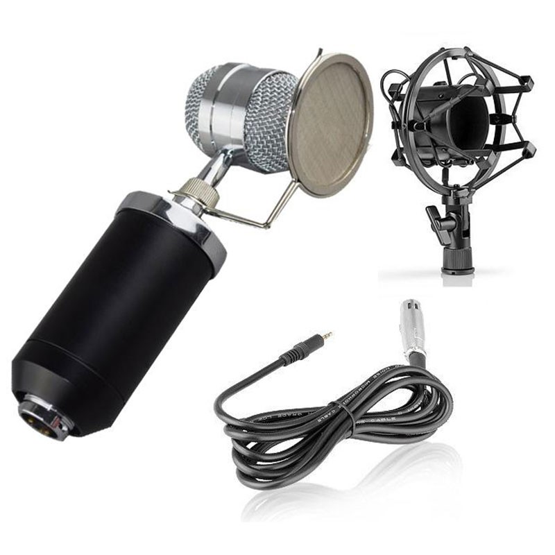 Micro hát Karaoke chuyên nghiệp BM-8000