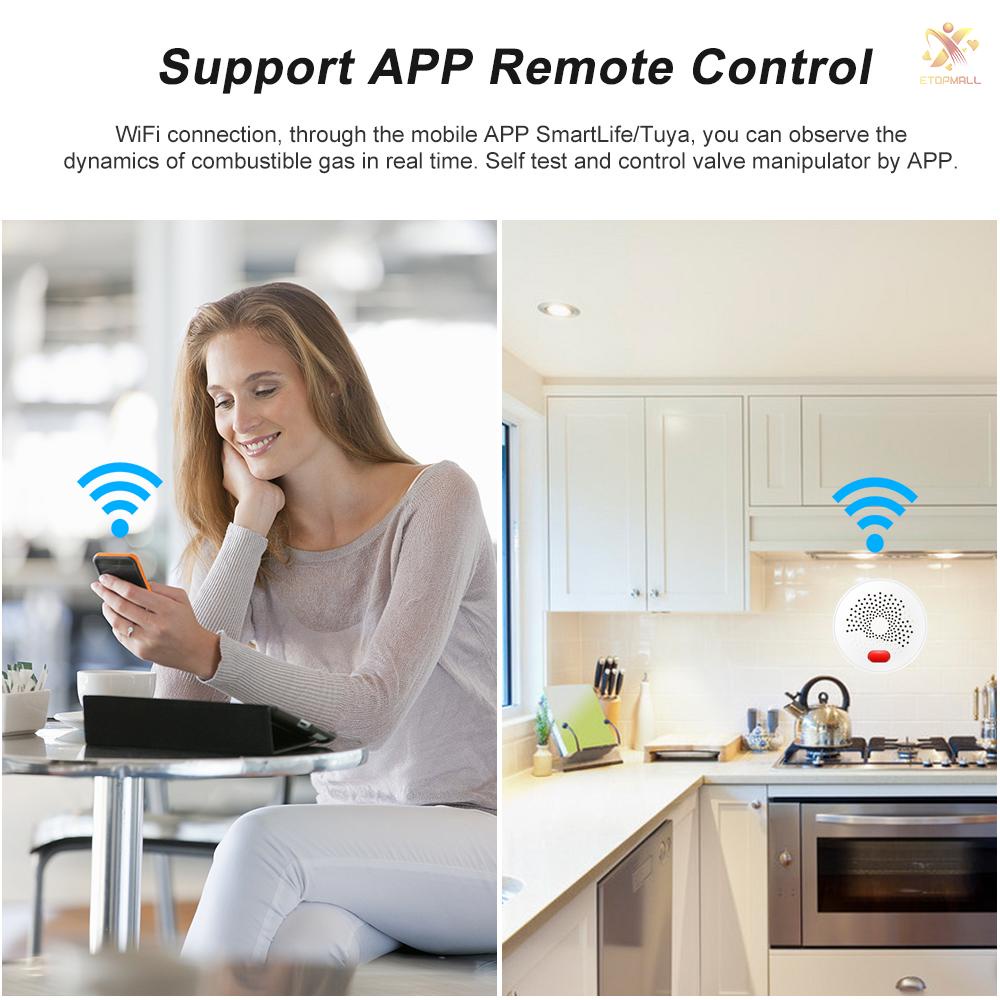 Máy Phát Hiện Khí Gas Kết Nối Wifi Thông Minh