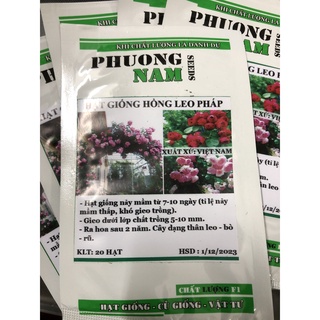 Hạt giống hoa hồng leo 20 hạt - f1