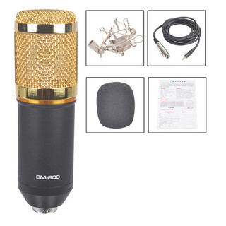 Mic thu âm live tream BM800