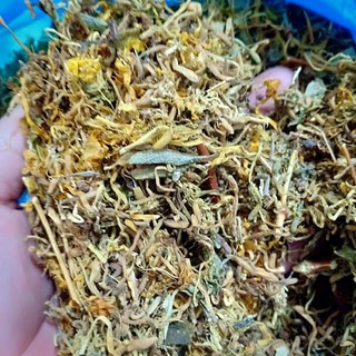 hoa kim ngân kháng sinh thiên nhiên 100g