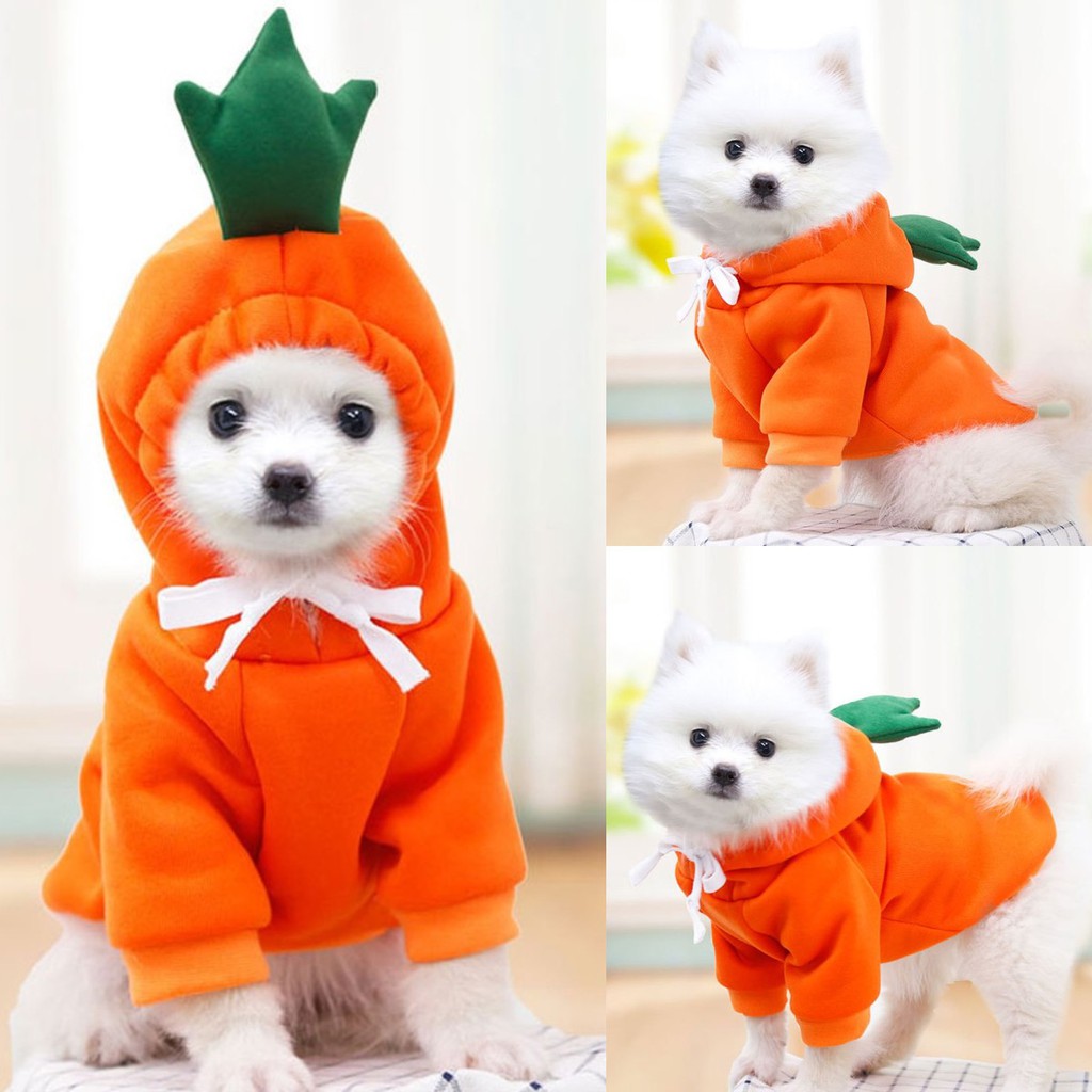 Áo sweater thiết kế màu trái cây dễ thương thời trang mùa đông cho thú cưng