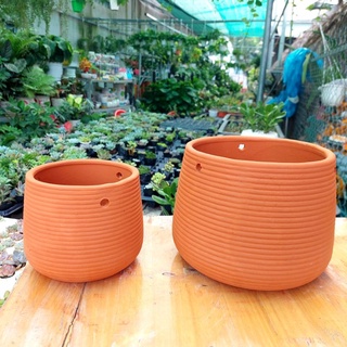 Chậu đất nung, Chậu sen đá - Chậu treo nhiều kích thước từ 13cm đến 20cm