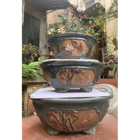 Chậu tròn trồng cây bónsai  - chậu tưs cảnh