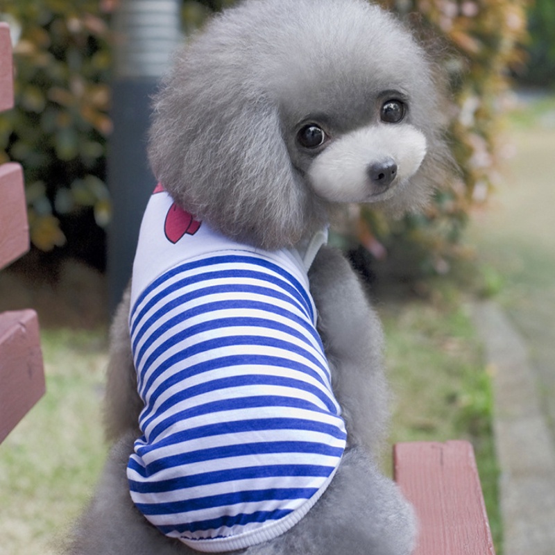 Áo Thun MùA Hè Cho Thú Cưng