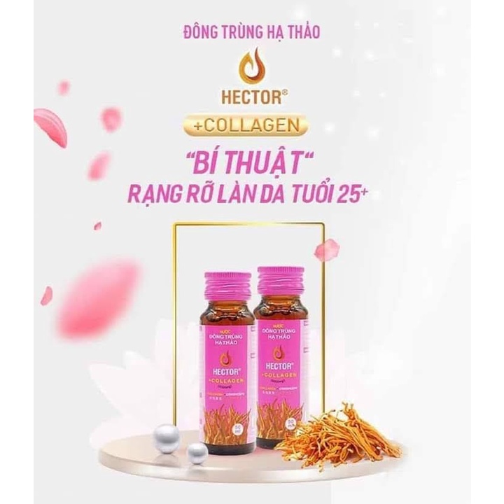 Nước uống đông trùng hạ thảo collagen