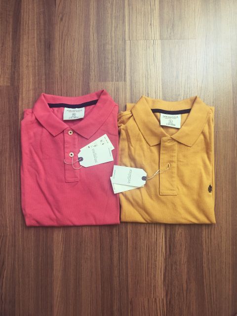 Áo Polo nam springfiled | BigBuy360 - bigbuy360.vn