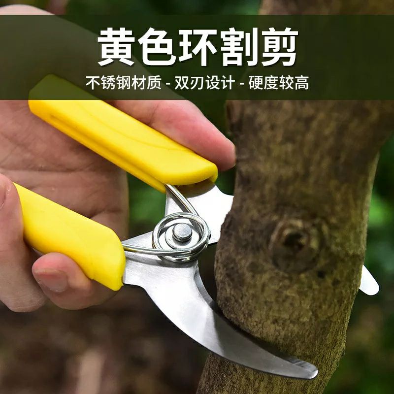 Kéo chiết cành cây, cắt vỏ cây, bóc bỏ cây 5.5mm bằng thép không gỉ
