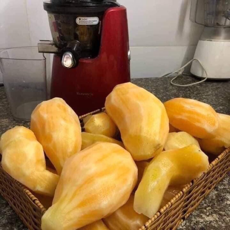 Combo 5 ký KHOAI SÂM ĐẤT