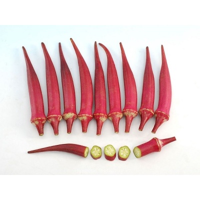 Hạt Giống Đậu Bắp Đỏ F1 Loại Dễ trồng chống sâu bệnh năng suất cao