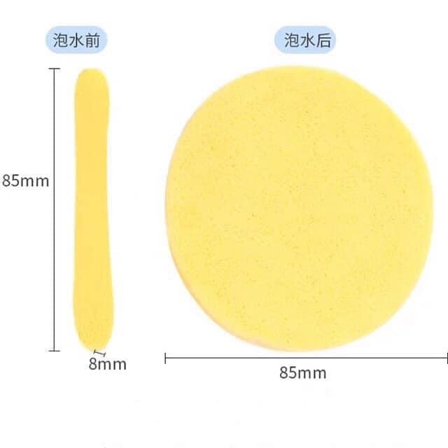 Bọt biển - Bông nở rửa mặt Chivey 12 miếng - Miếng mút rửa mặt bọt biển dạng nén | BigBuy360 - bigbuy360.vn