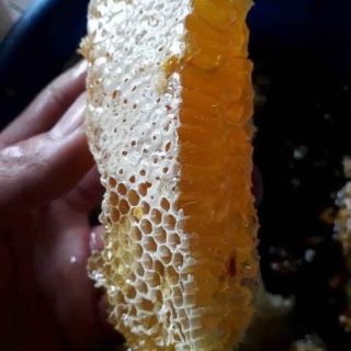 Mật ong khoái chuẩn (01 lít)