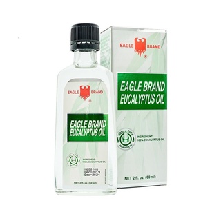 Dầu khuynh diệp Con Ó Singapore Eagle Brand 60ml