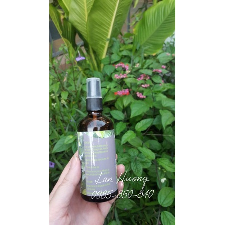 Nước tinh dầu lá trầu không Areovnua - chai xịt 100ml - sp Học Viện Nông nghiệp Việt Nam (VMUA)