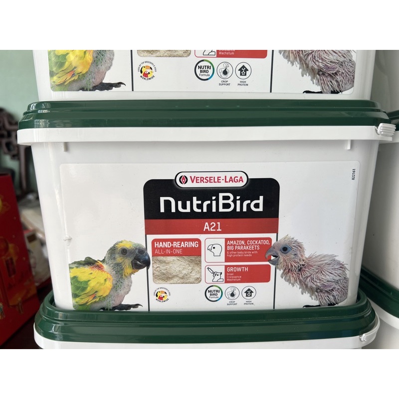100Gam Bột NutriBird A19/A21 chuyên dụng dành cho vẹt non