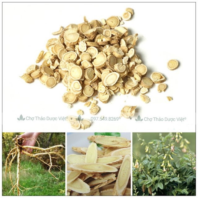 100g Hoàng Kỳ Sấy Khô (Làm Trà Bổ Thận,Ăn Ngon,Pha Trà Hoa Cúc,Kỳ Tử,Táo Đỏ)