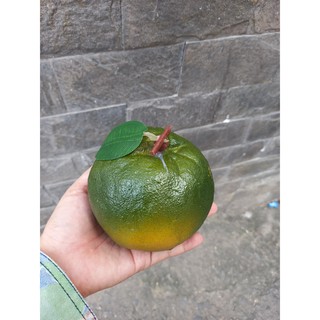1 Trái cam Sành giả - trái cây giả - TUYET XUAN SHOP