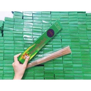 Hương muỗi thái lan