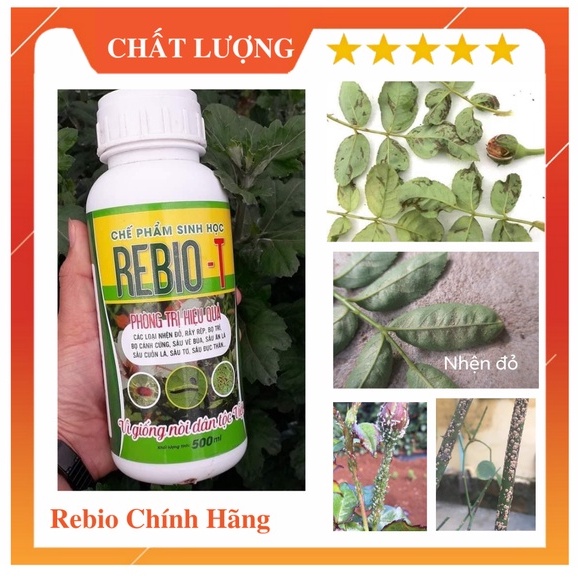 Chế Phẩm Sinh Học 𝐑𝐄𝐁𝐈𝐎 𝐓 5𝟎𝟎𝐌𝐋 chuyên đặc trị 𝐒Â𝐔, 𝐓𝐑Ĩ, 𝐍𝐇Ệ𝐍, 𝐑Ầ𝐘, 𝐑Ệ𝐏
