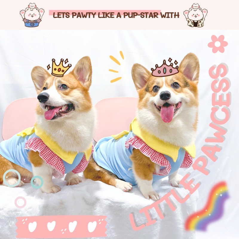 Áo Thun Ba Lỗ DoggoStyle Vải Cotton Ấm Mùa Thu Đông Cho Chó Lớn Size Bự Corgi Bull Pháp Pug Mặt Xệ Lạp Xưởng