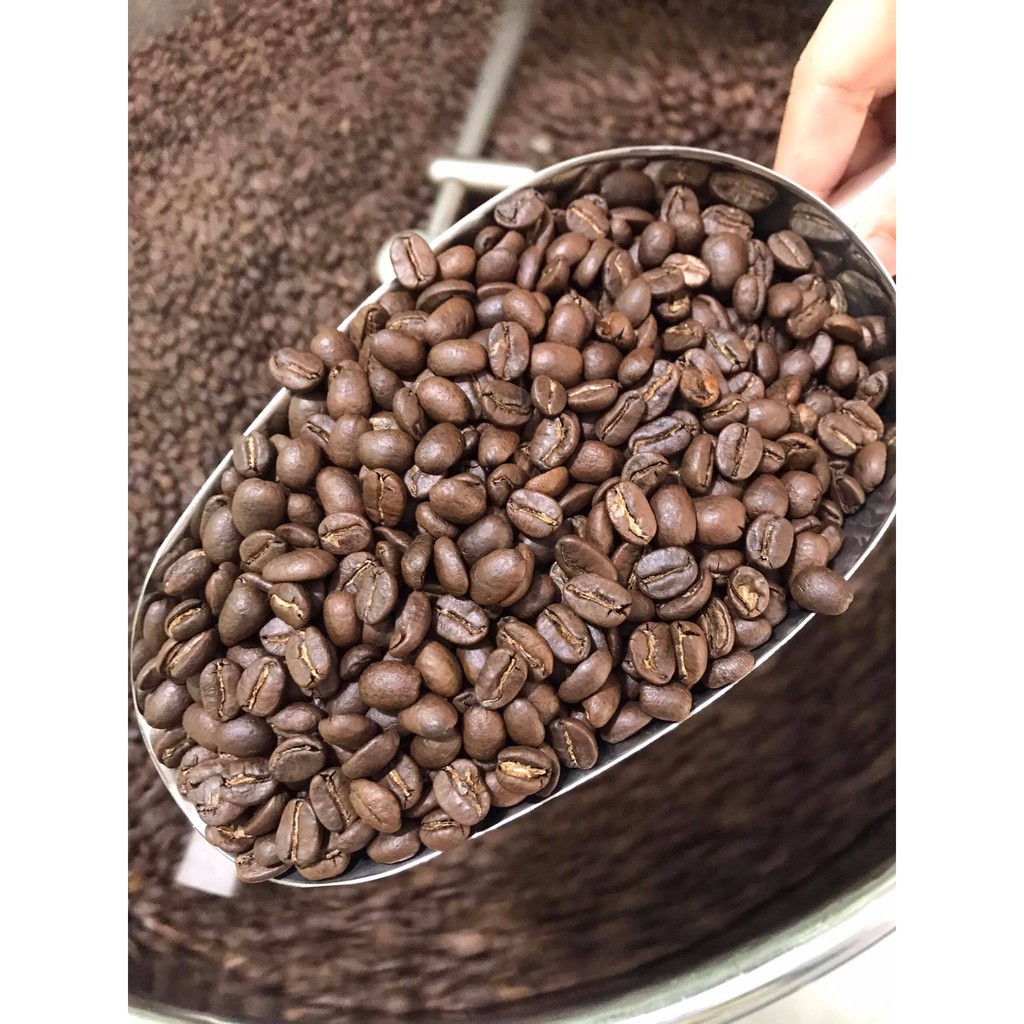 Cà phê pha phin và pha máy Expresso Arabica - Hạt cafe rang mộc nguyên chất 100% - Gucoffee