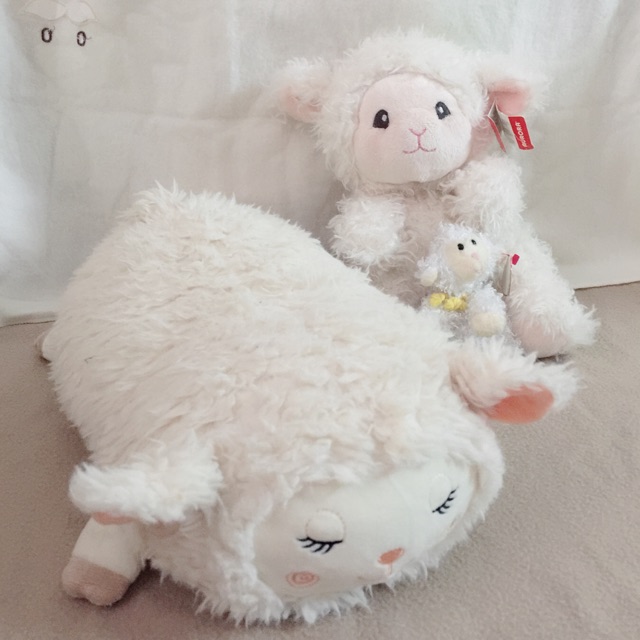 Set gấu ngọc hà