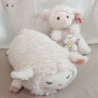 Set gấu ngọc hà