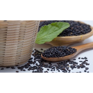 Hạt mè đen - Hạt Vừng đen