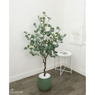 Cây bạch đàn trang trí cao 130cm - LC3050