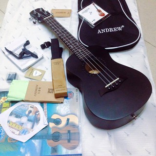 Đàn ukulele concert