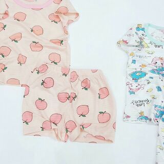 Sỉ bộ cotton giấy xuất Hàn.