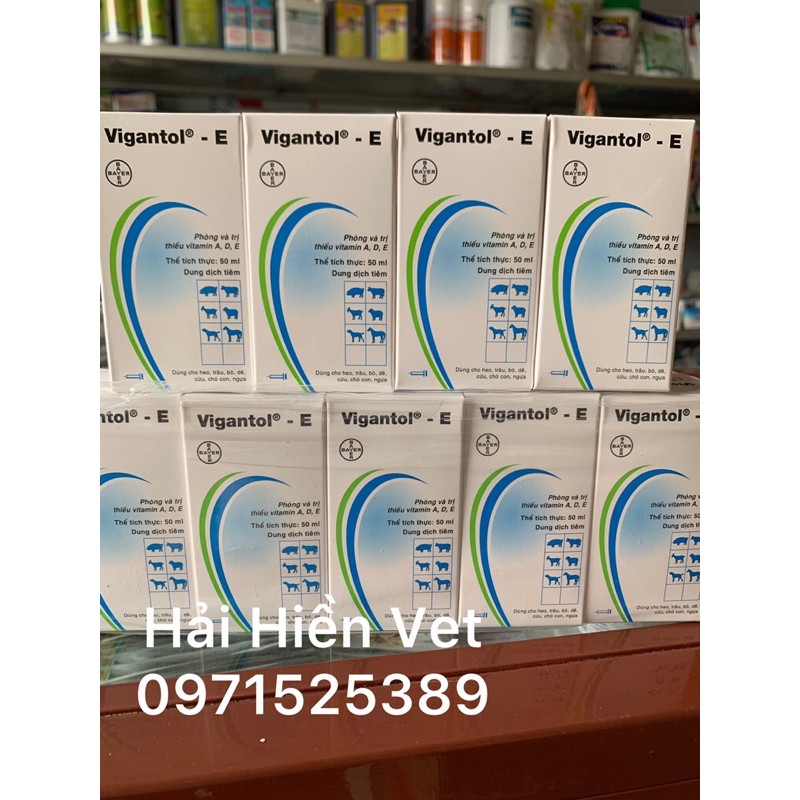50ml VIGANTOL - E - bổ sung vitamin A, D, E cho chó , mèo, heo, trâu, bò, dê, cừu, ngựa