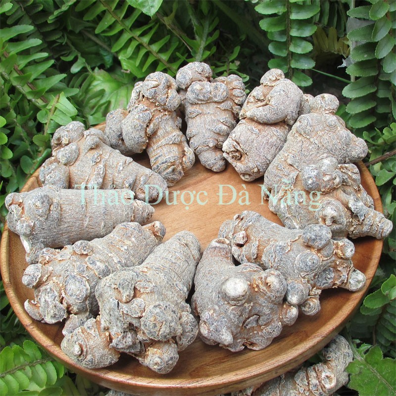 1 Kg Tam Thất Bắc khô,sạch.(size 5 củ/100 gram)