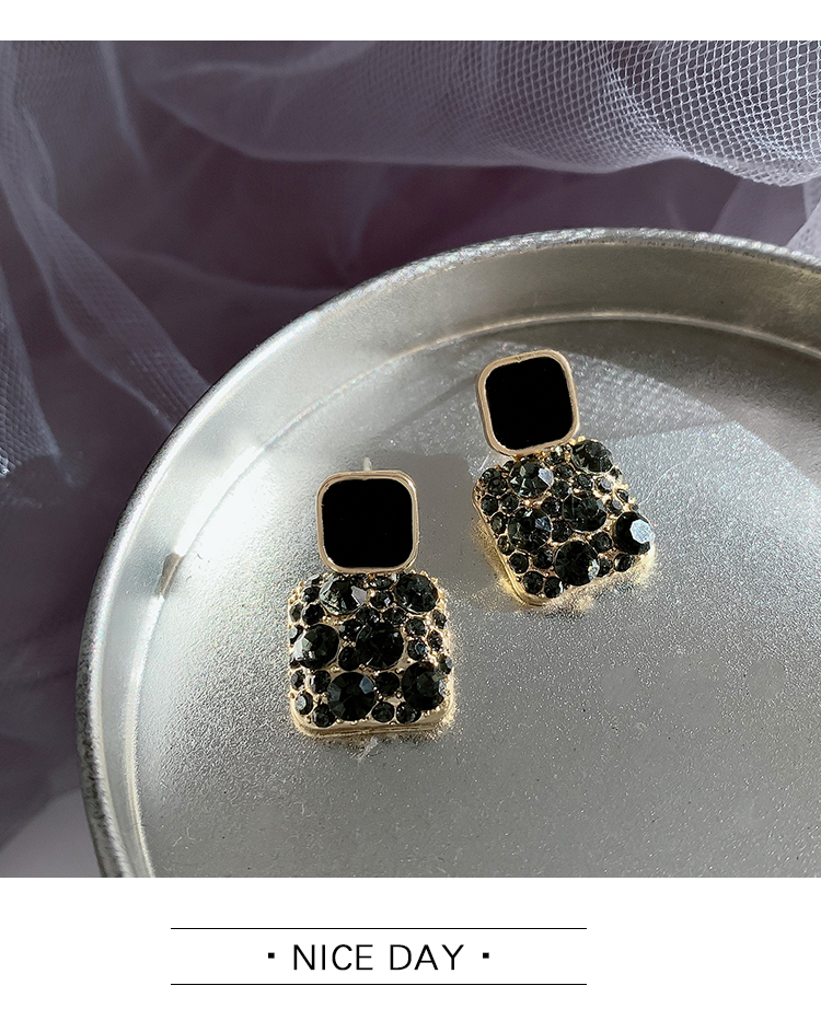 Hoa Tai Kim Loại Bạc 925 Phong Cách Hàn Quốc Cho Nữ