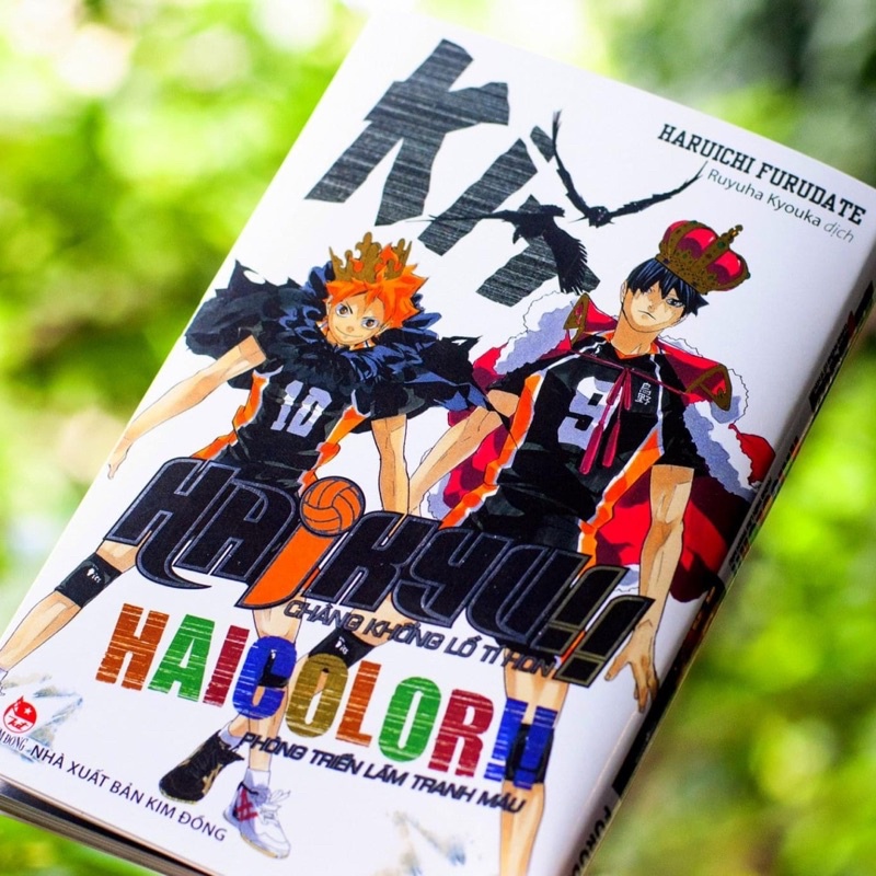 HAIKYU!! HAICOLOR!!