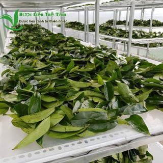 1kg lá mảng cầu xiêm