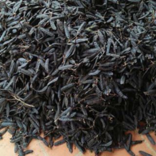 🌺Bồ kết khô mùa mới 2021🍒🍒🍒