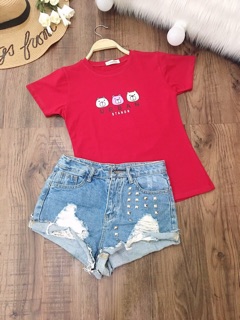 Áo thun Thái gấu nhỏ