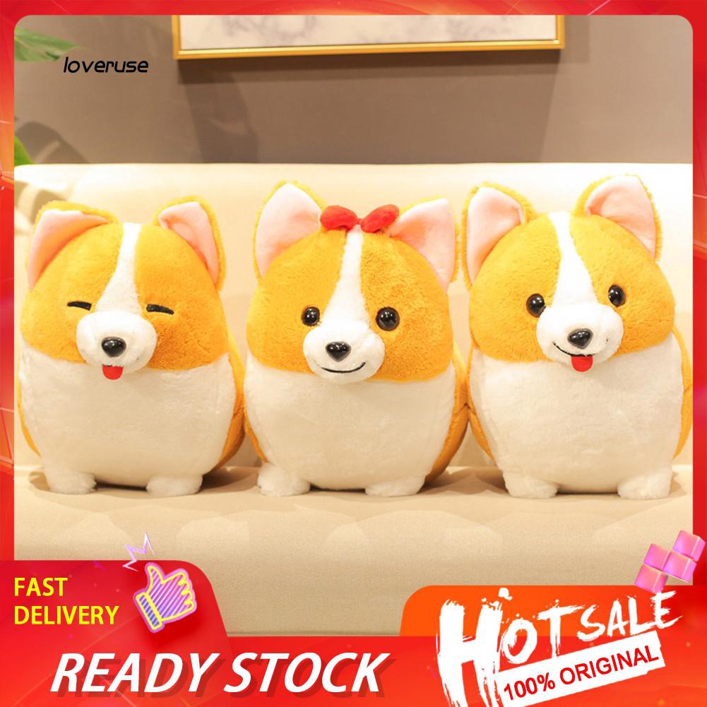 Chó Corgi Nhồi Bông Đáng Yêu