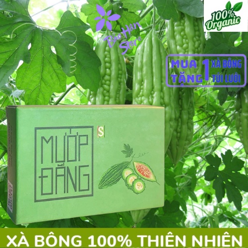 Xà Bông Mướp Đắng Kháng Khuẩn &amp; Giảm Mụn Lưng Hết Viêm Chân Lông, Rôm Sảy, Dị Ứng Viêm Da Cơ địa,…Nguồn Gốc Thiên Nhiên