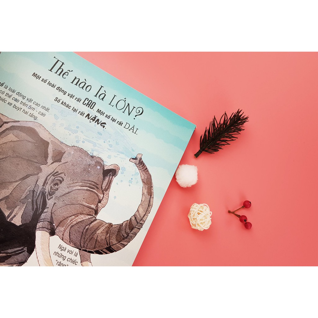 Sách tương tác - Big book - Cuốn sách khổng lồ về các loài động vật khổng lồ